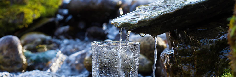 Natural purification - water systems